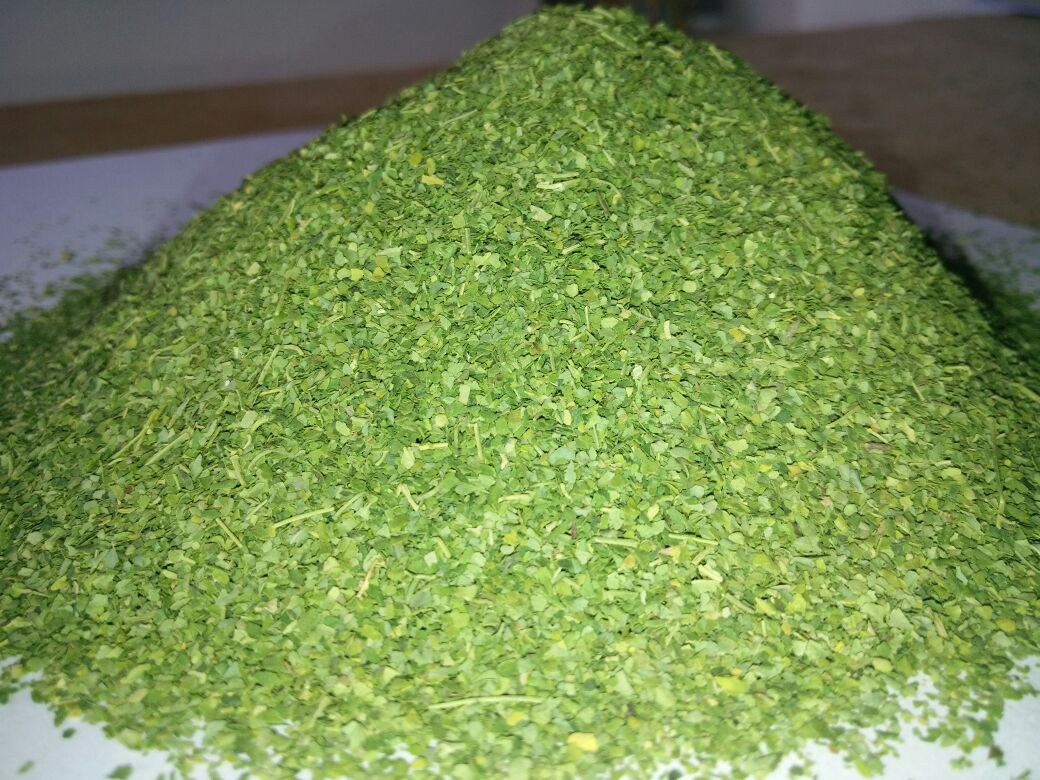 SVM  Exports MORINGA TEA CUT LEAVES